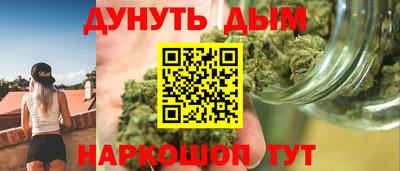 шишки Обь