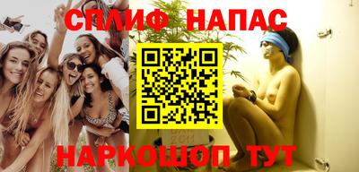шишки Обь