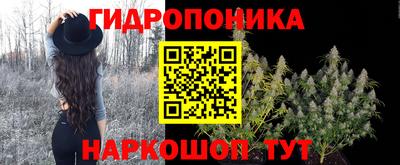 шишки Обь