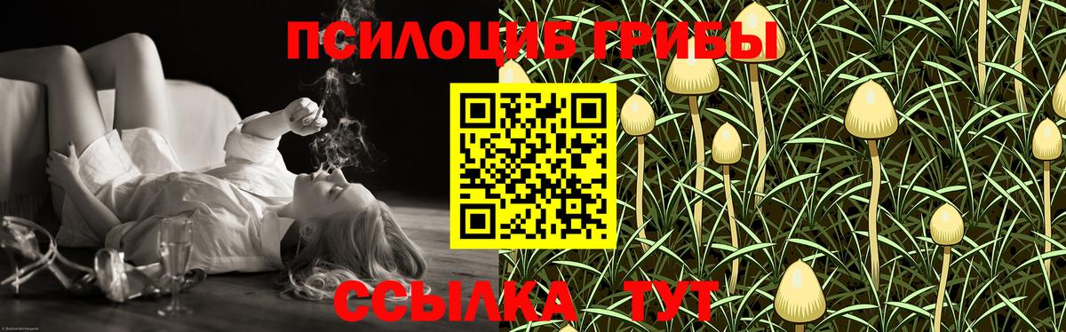 Псилоцибиновые грибы мухоморы  Вход с VPN  Рославль 