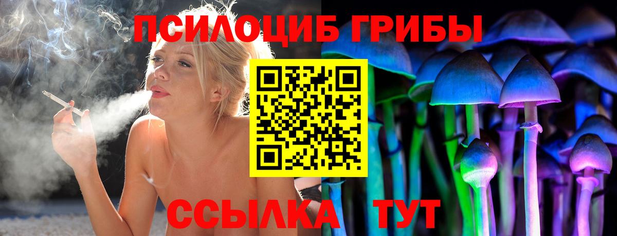 Псилоцибиновые грибы Psilocybe Рославль